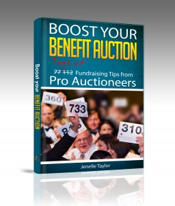 Boost Your Benefit Auction book