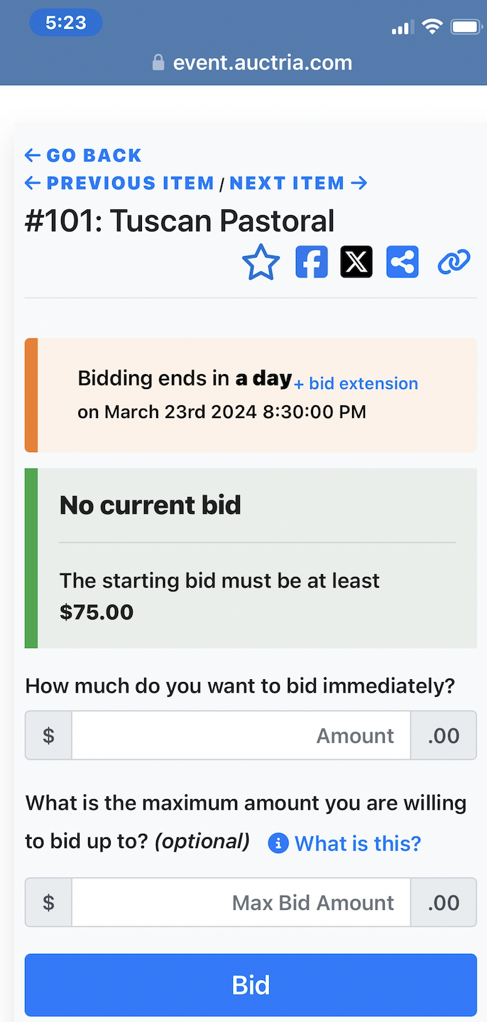 a photo of online bidding